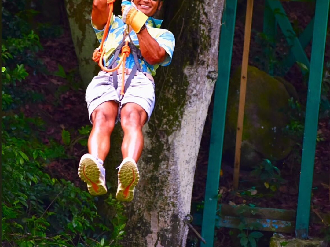 Antigua Rainforest Tour-安提瓜必去景点