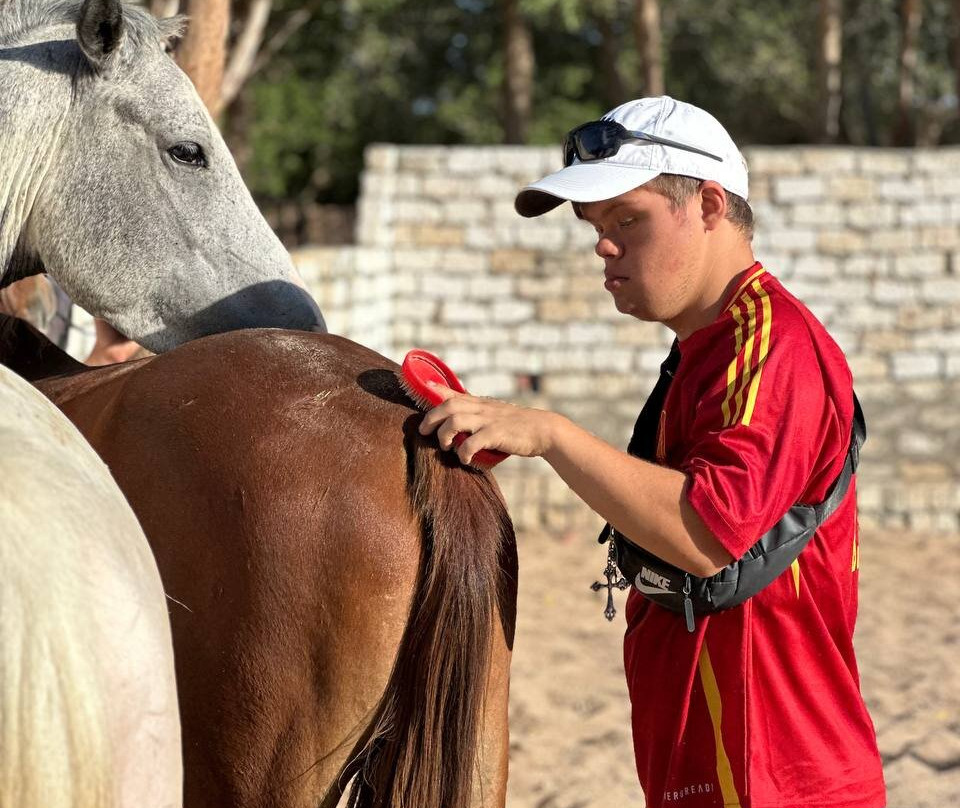 Horse Safari Hurghada-赫尔格达必去景点