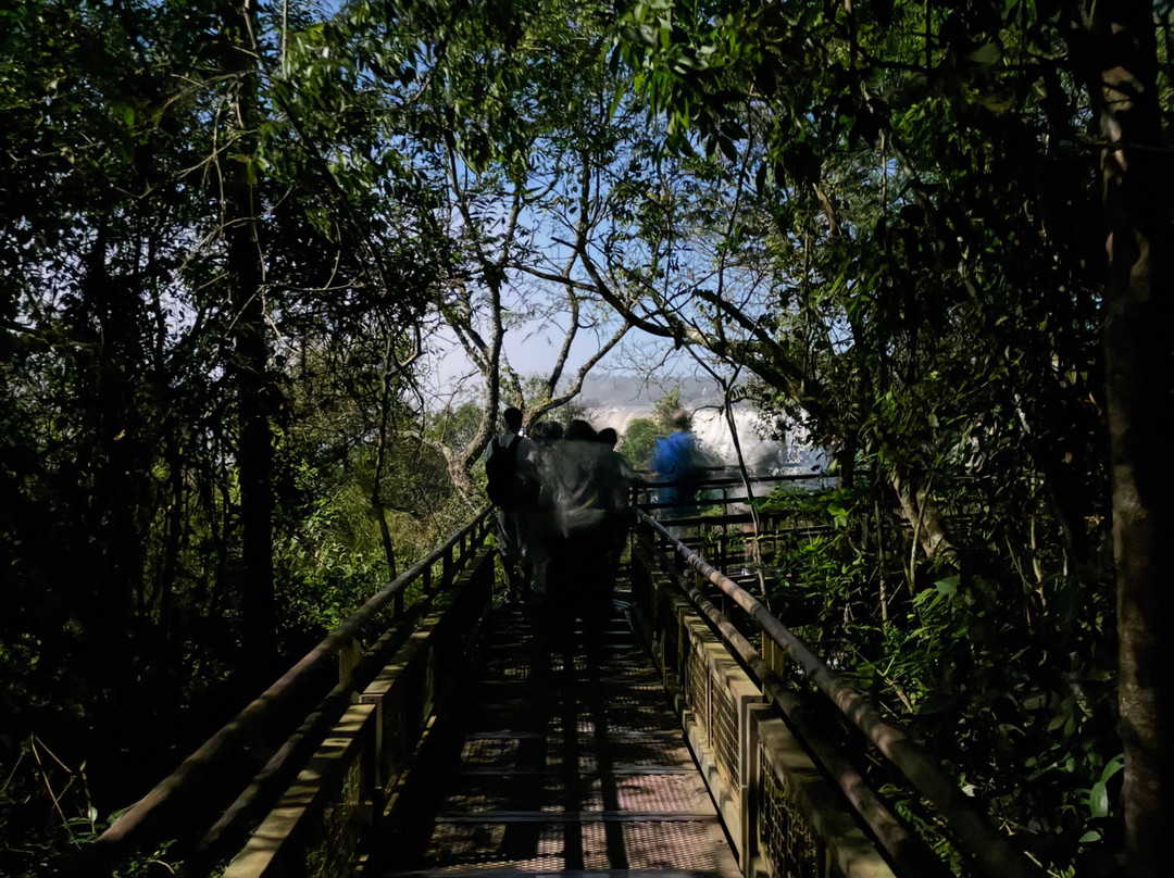 Paseo De Luna Llena-伊瓜苏港必去景点
