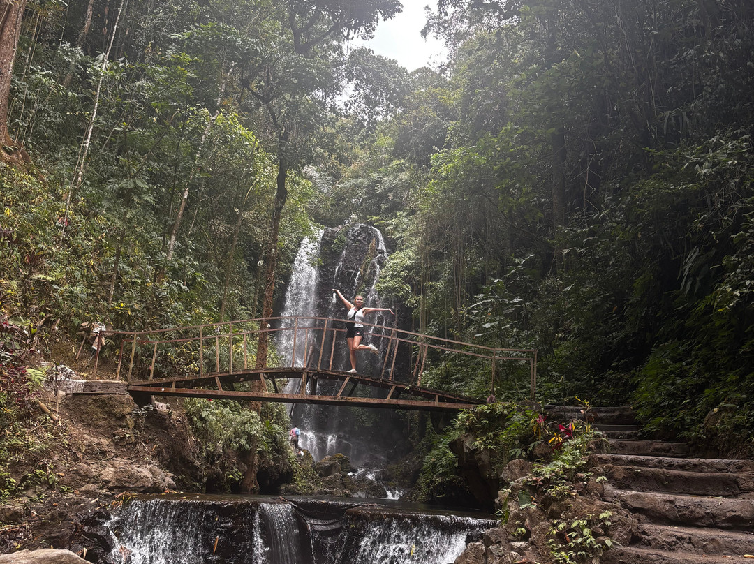 Bali Local Tour Guide-Buleleng必去景点
