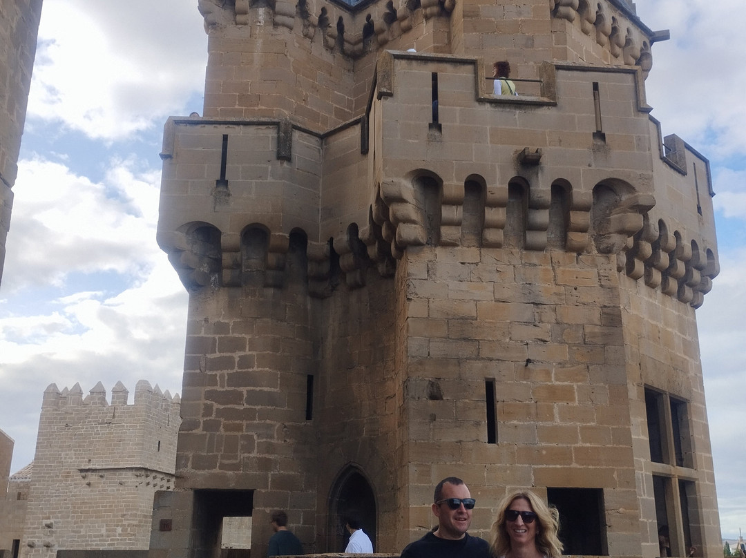 Palacio Real de Olite-Olite必去景点