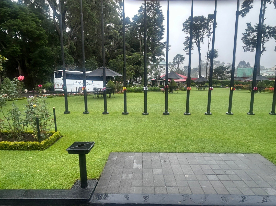 Tea Lounge