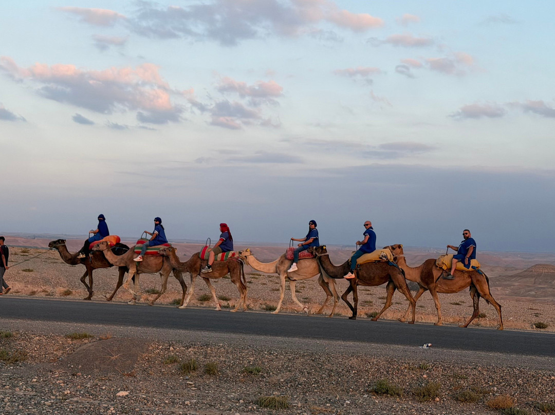experienceamazingmorocco-马拉喀什必去景点