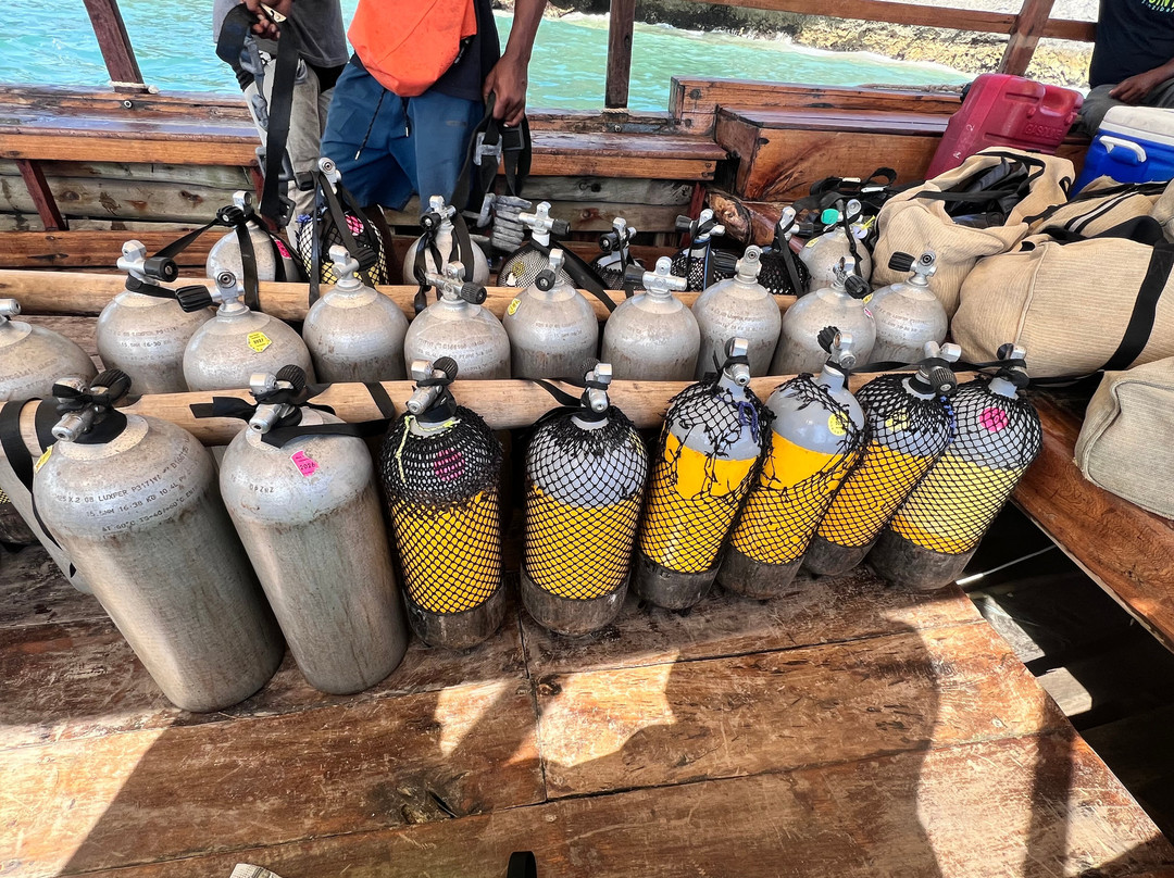 Dive Point Zanzibar-Matemwe必去景点
