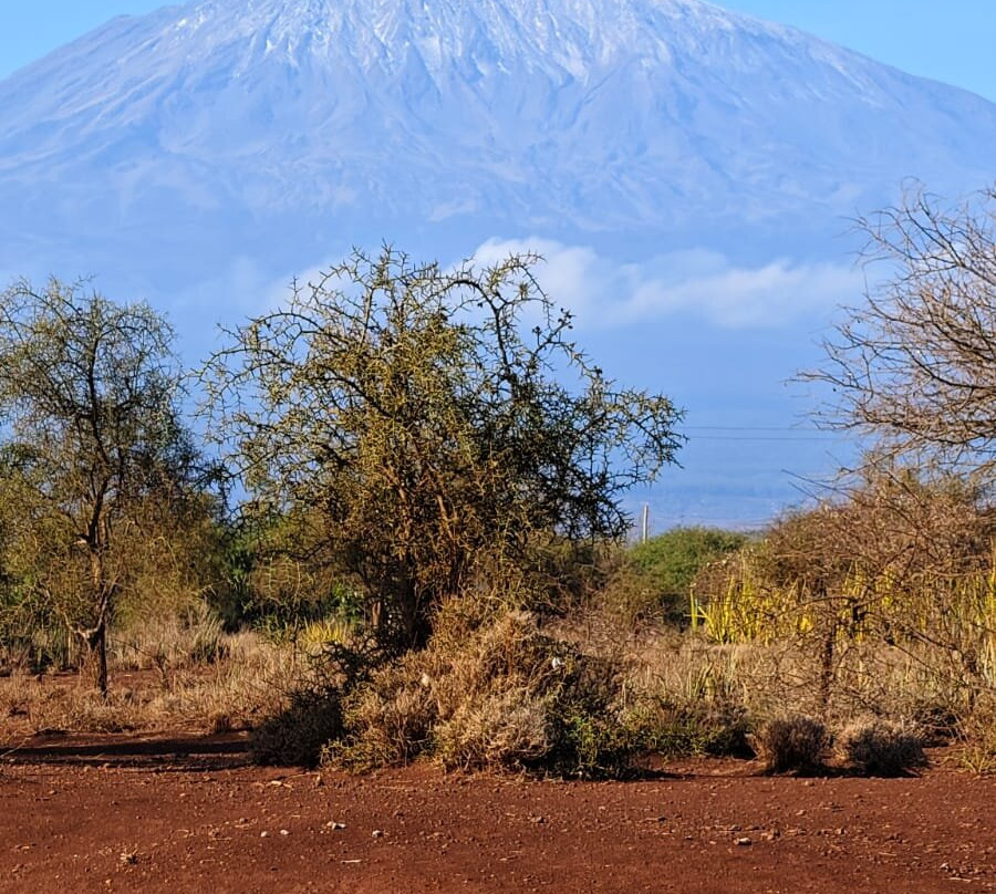 Destinations Kenya Safari-内罗毕必去景点