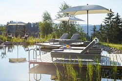 Natur- & Genießerhotel DER BIRKENHOF主图