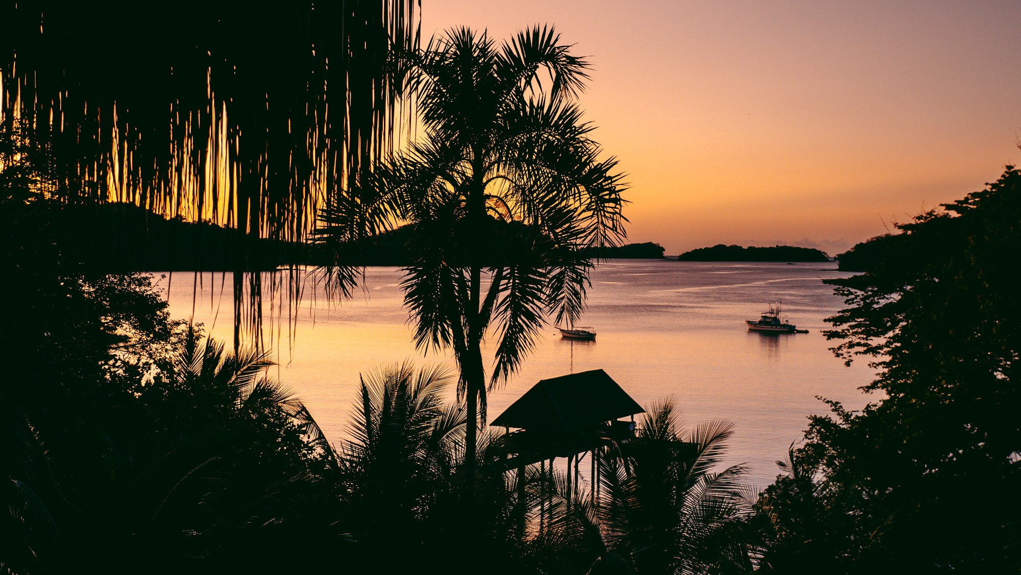 Seagull Cove Resort-官方
