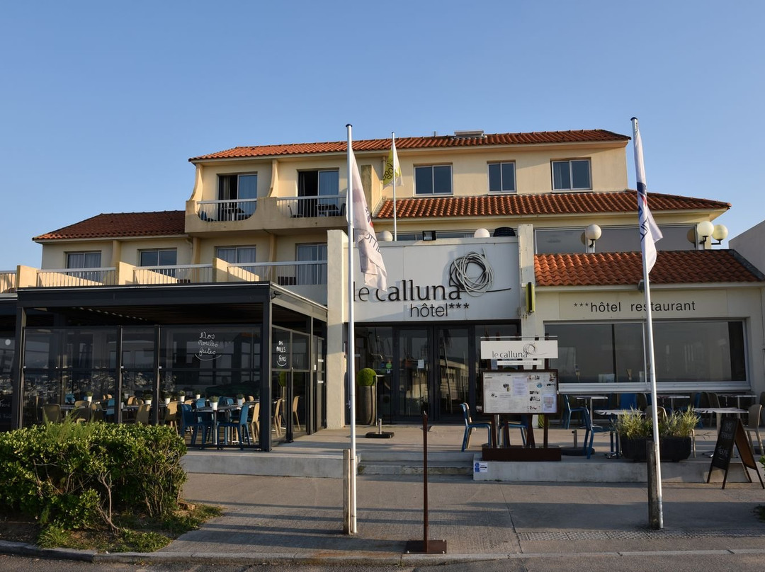 La Plaine-sur-Mer酒店住宿-国际之家欧石楠酒店