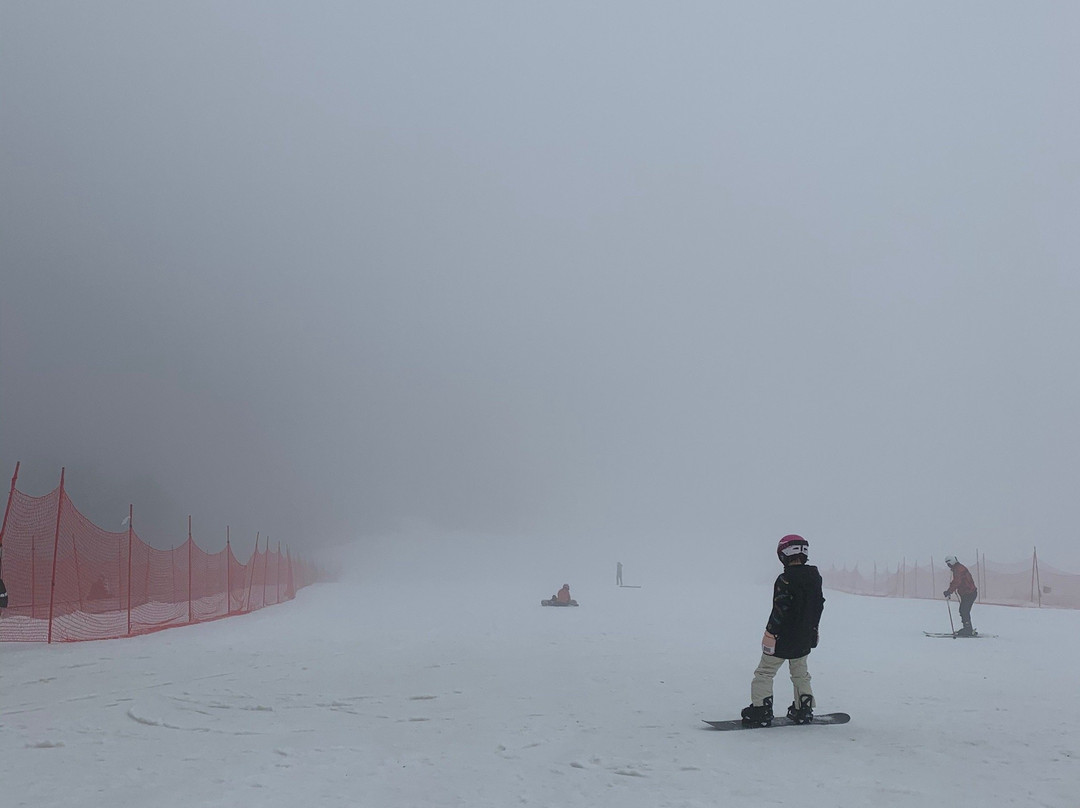 神农架旅游滑雪场景点图片