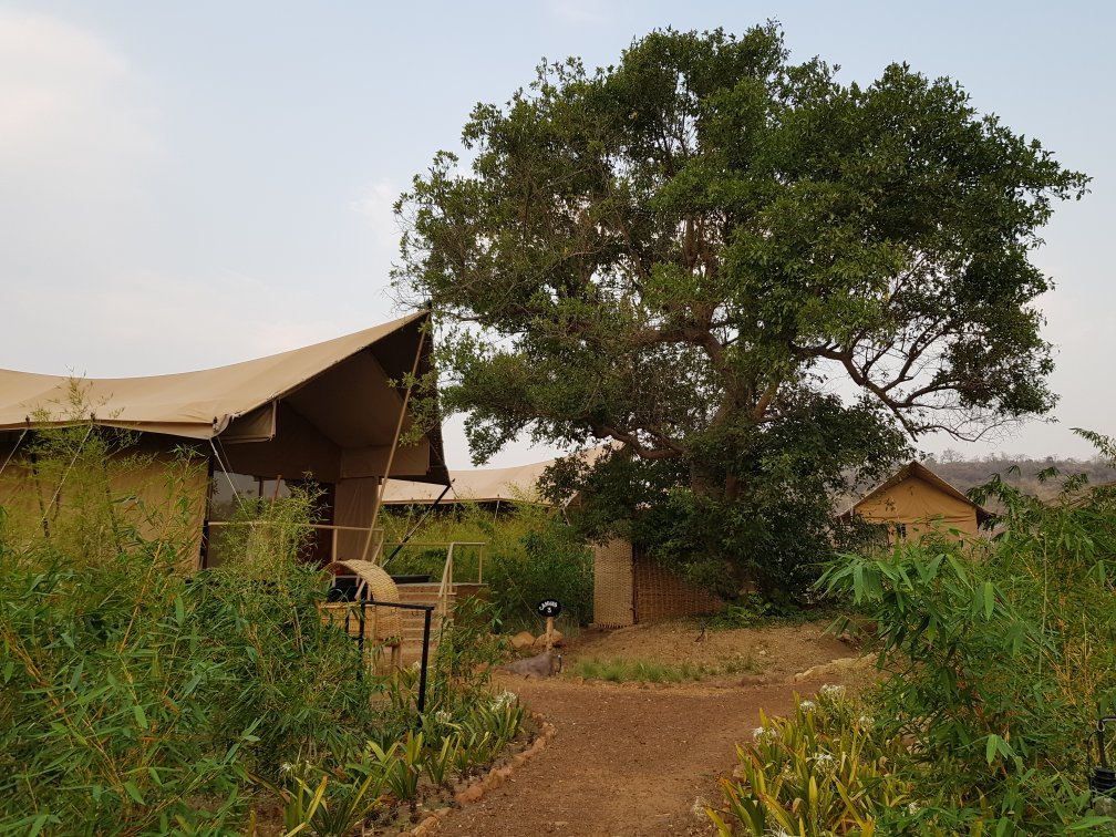 Limban Resort-官方