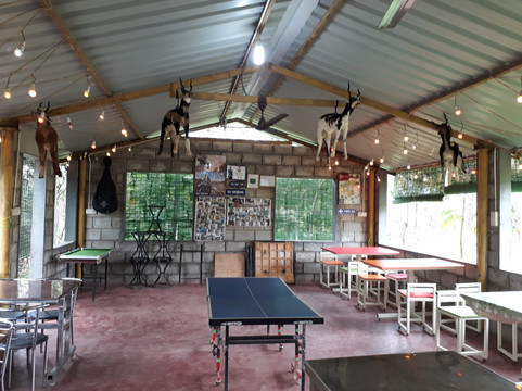 Farmers Son Resort & Adventurous Sports