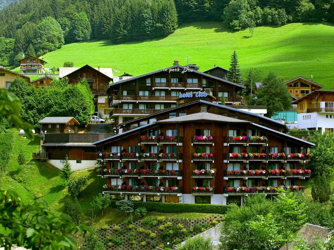 Hotel le Petit Dru