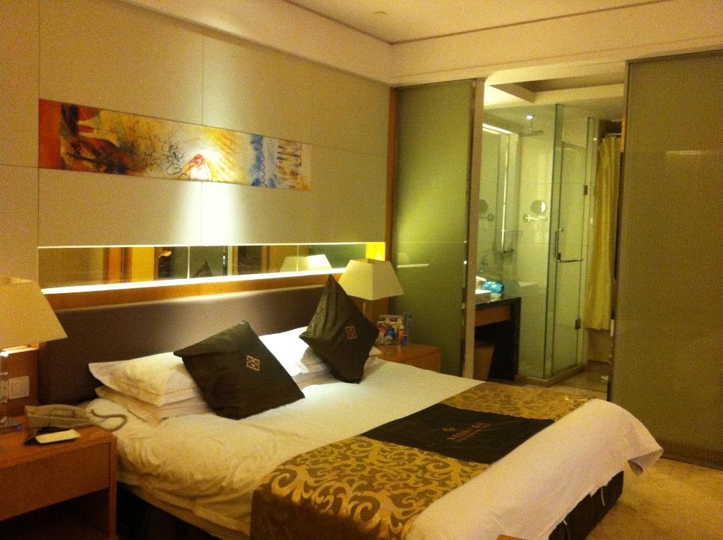 嘉銮国际大酒店-客卧