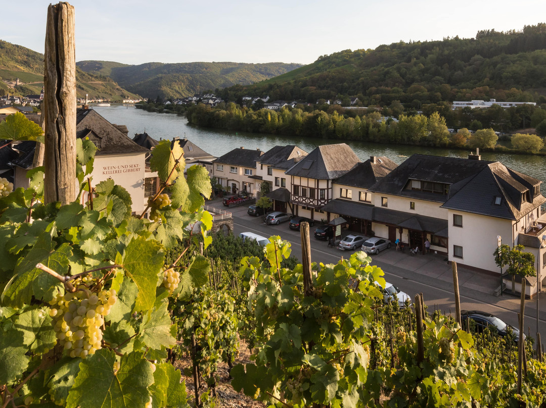 Zell (Mosel)旅游攻略图片
