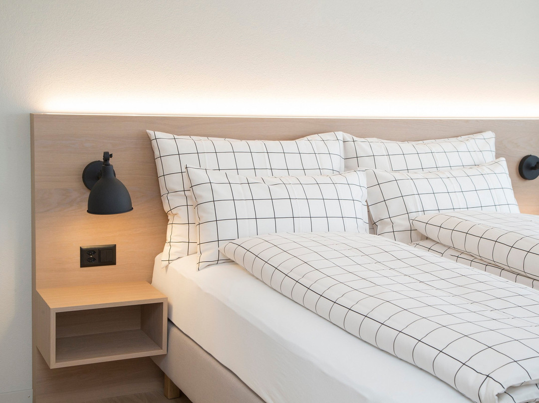 Diepoldsau酒店住宿-Business und Lifestylehotel Forum Widnau