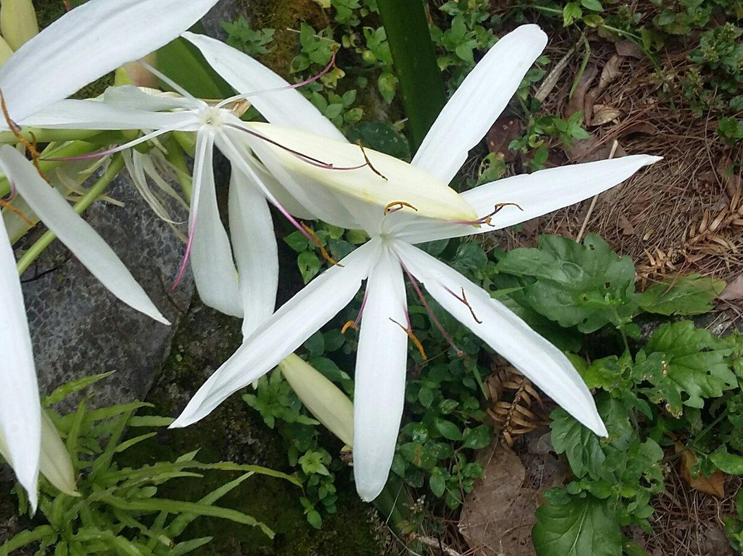 嵩云山-洪江市必去景点