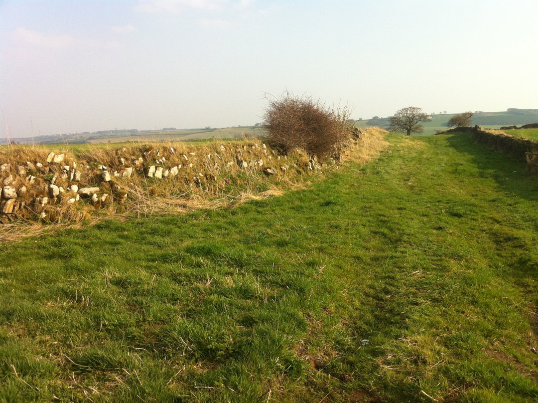 Lanchester Roman Fort景点图片
