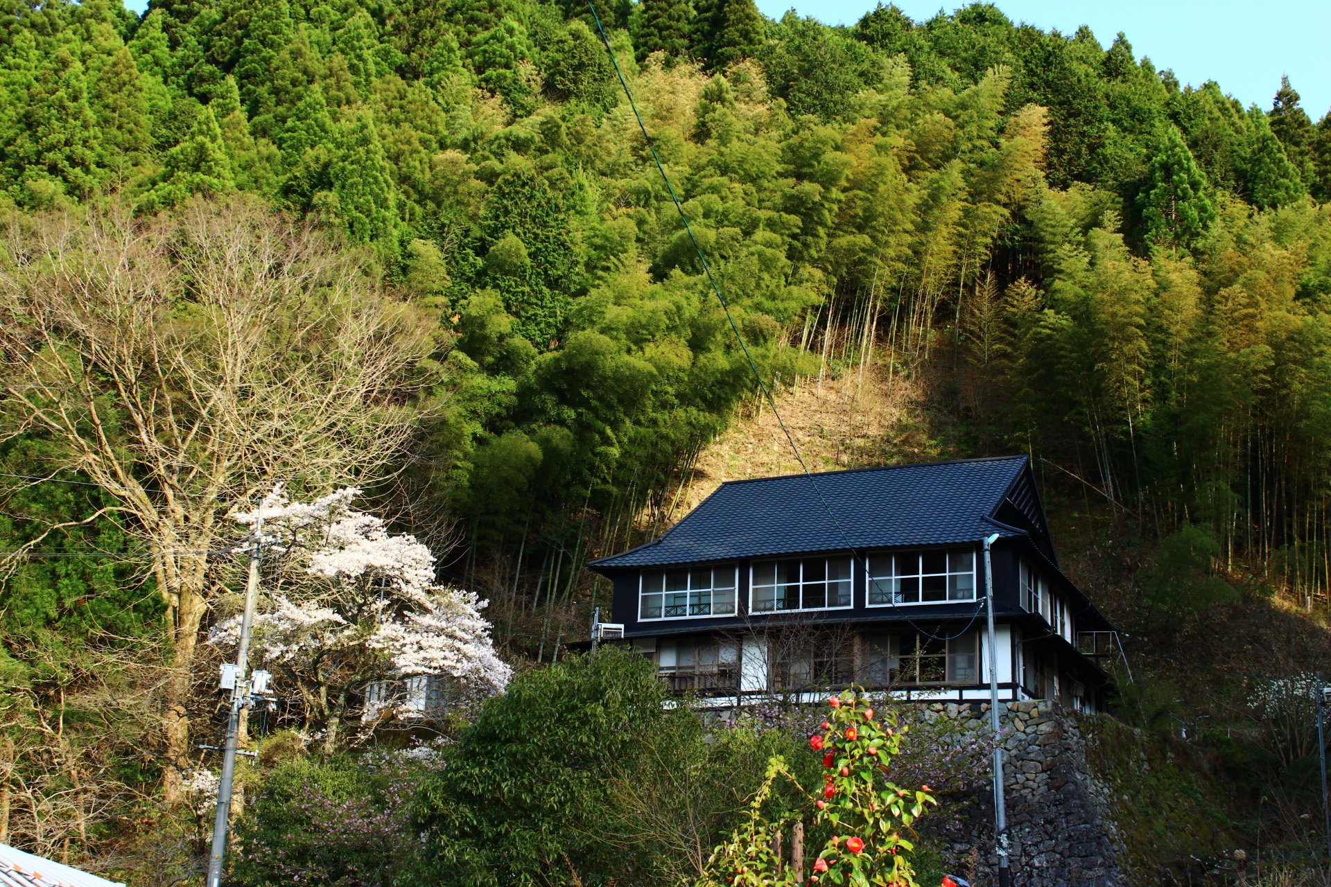 Goroku Onsen-官方