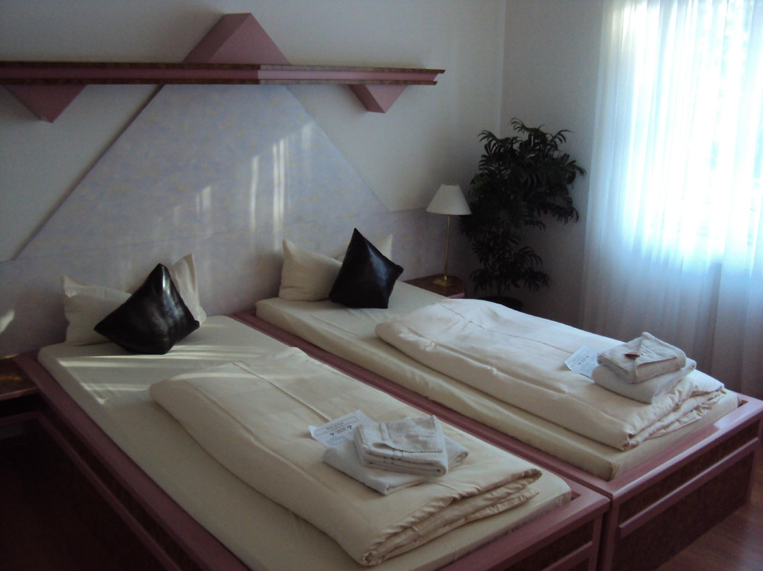 Hotel Am Park