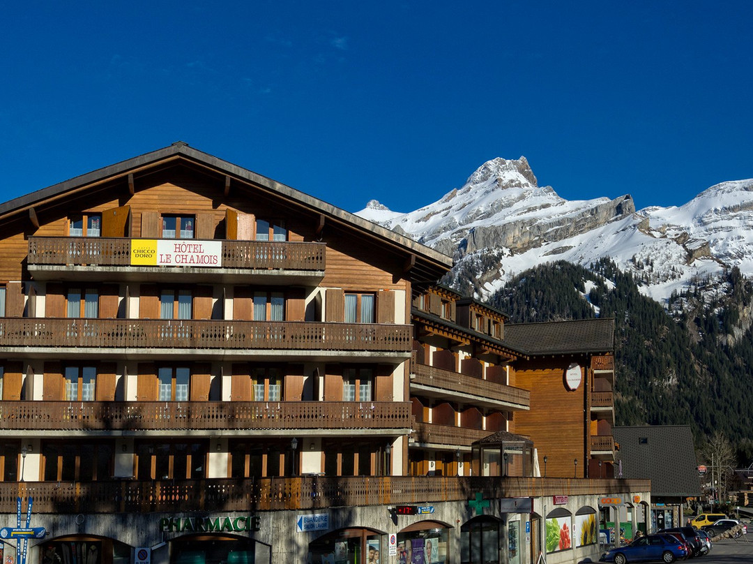 Les Diablerets酒店住宿-Hotel Le Chamois