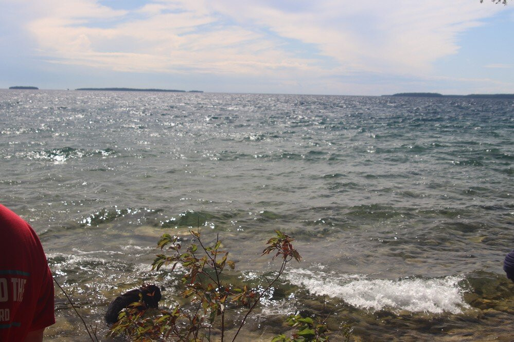 Merl Trail,flowerpot Island景点图片