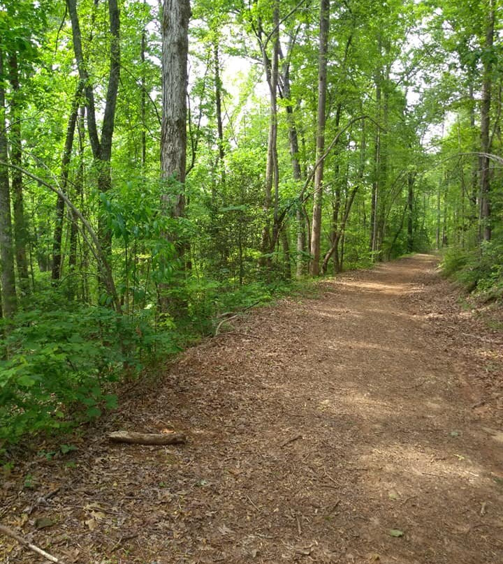 Bradley Nature Preserve at Alexander's Ford-米尔泉必去景点