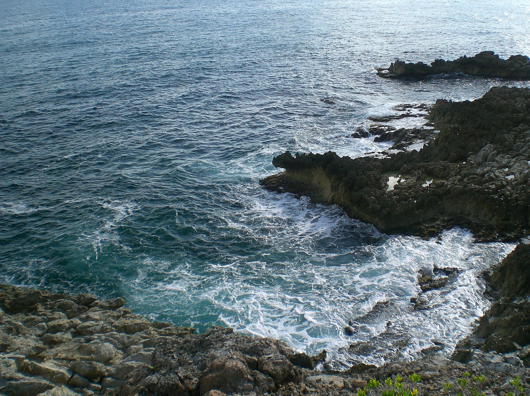 Isla Real景点图片