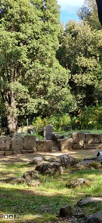 Parco Archeologico e Naturalistico del Bosco Seleni景点图片