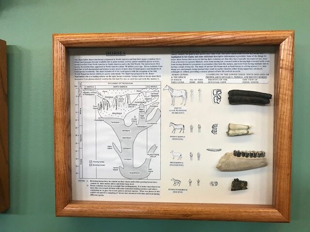 Harrigan Learning Center and Museum