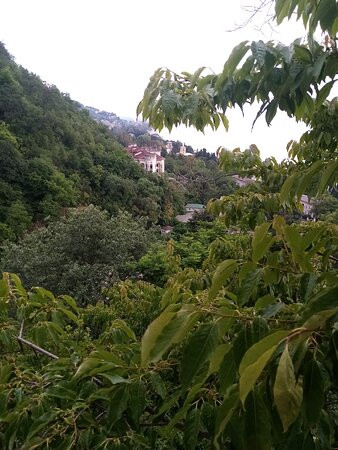 Nestor Lakoba Country House-Gagra必去景点