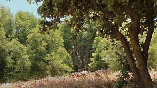 Big Juba in Ya'ar Odem-Odem必去景点