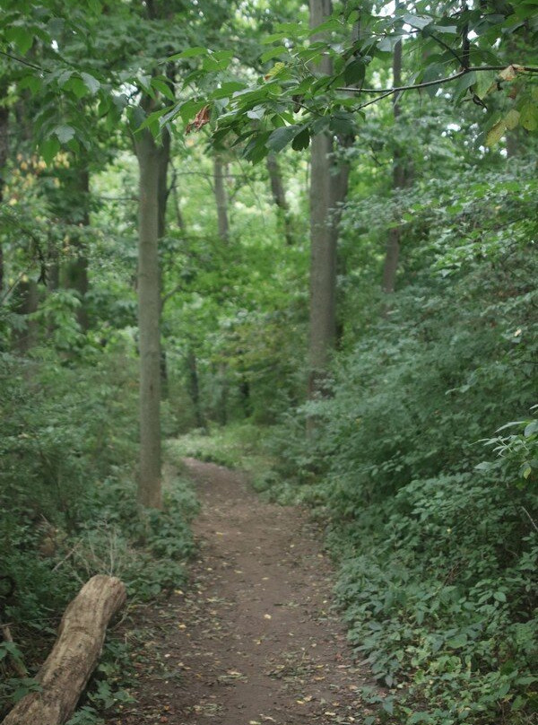 Steve Bauer Trails, Fonthill景点图片