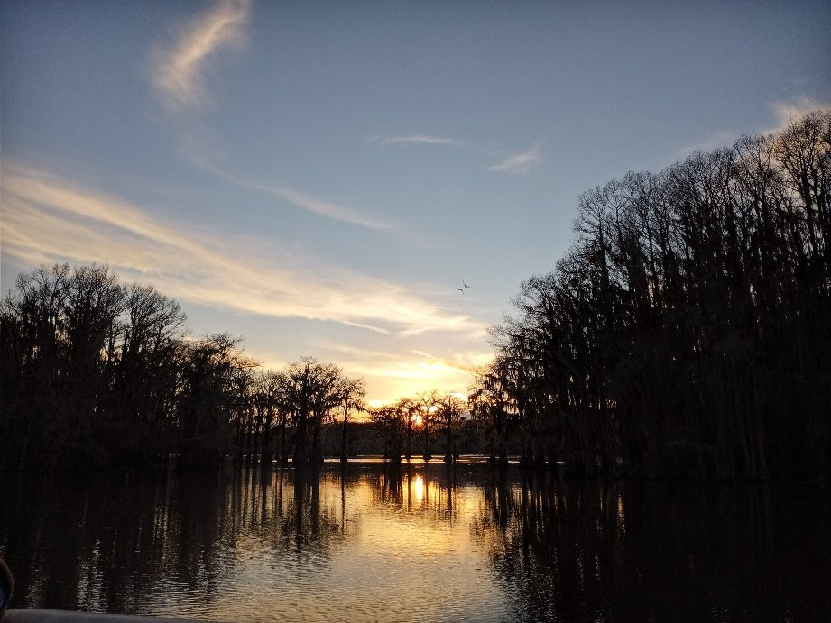 Ole Jigger Caddo Lake Adventures-Karnack必去景点