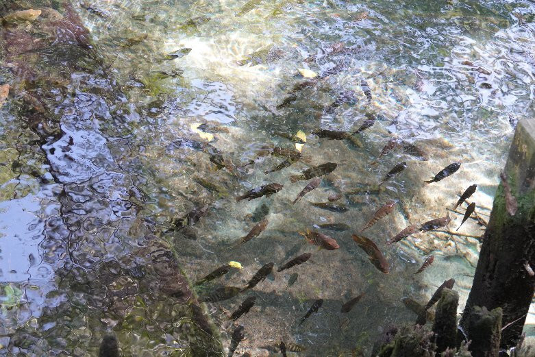 Circuito Ojo de Agua Baldiosera-塞莱斯顿必去景点