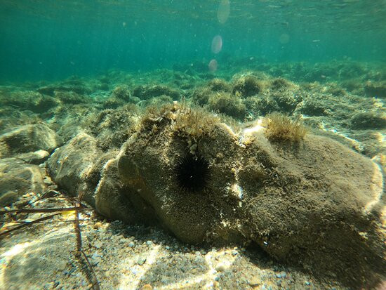 Cala Banana-撒丁岛必去景点