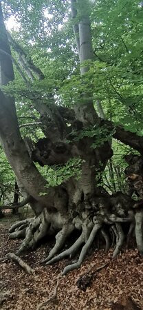 Valley of Ghosts-Luchyste必去景点