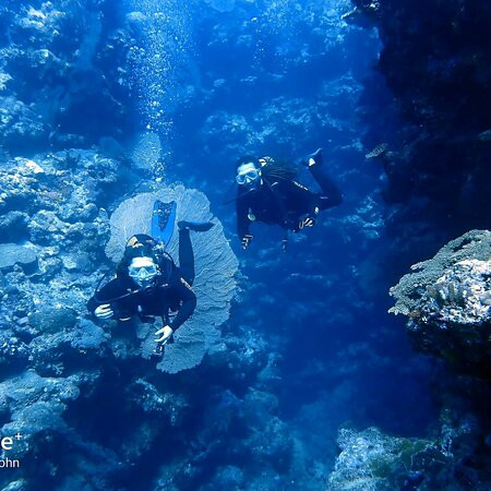 Tieti Diving-Poindimie必去景点