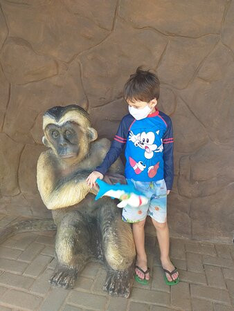 Aquário Natal-Extremoz必去景点