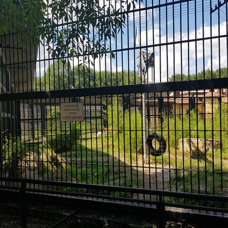 Voronezh Zoo景点图片
