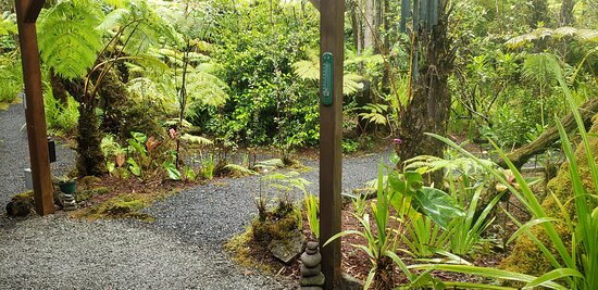 火山雨林休养所主图