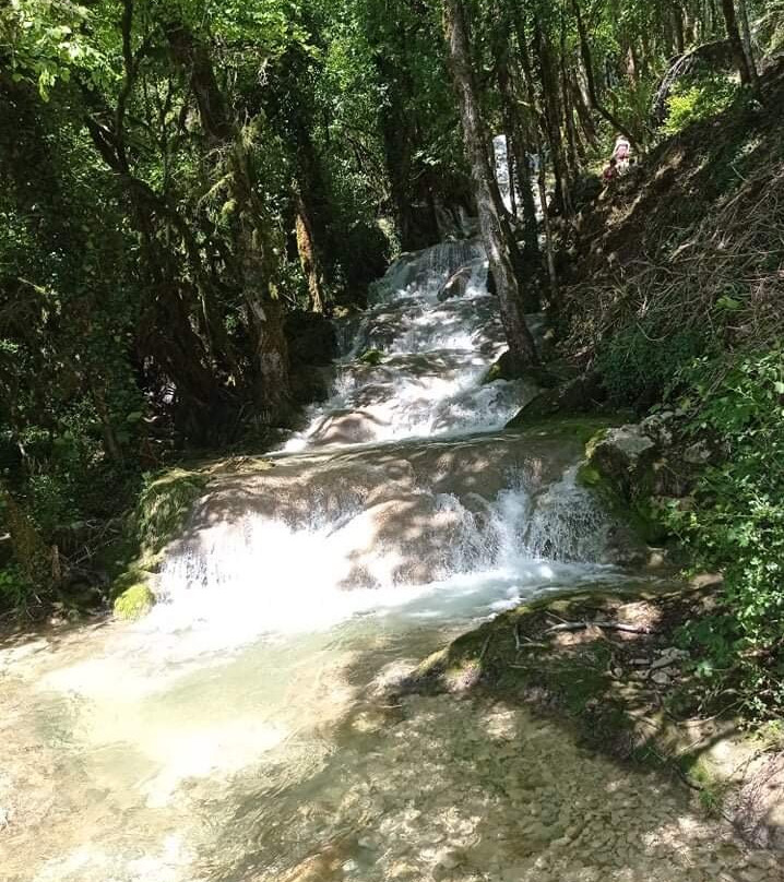 Camping Du Lac De Coiselet