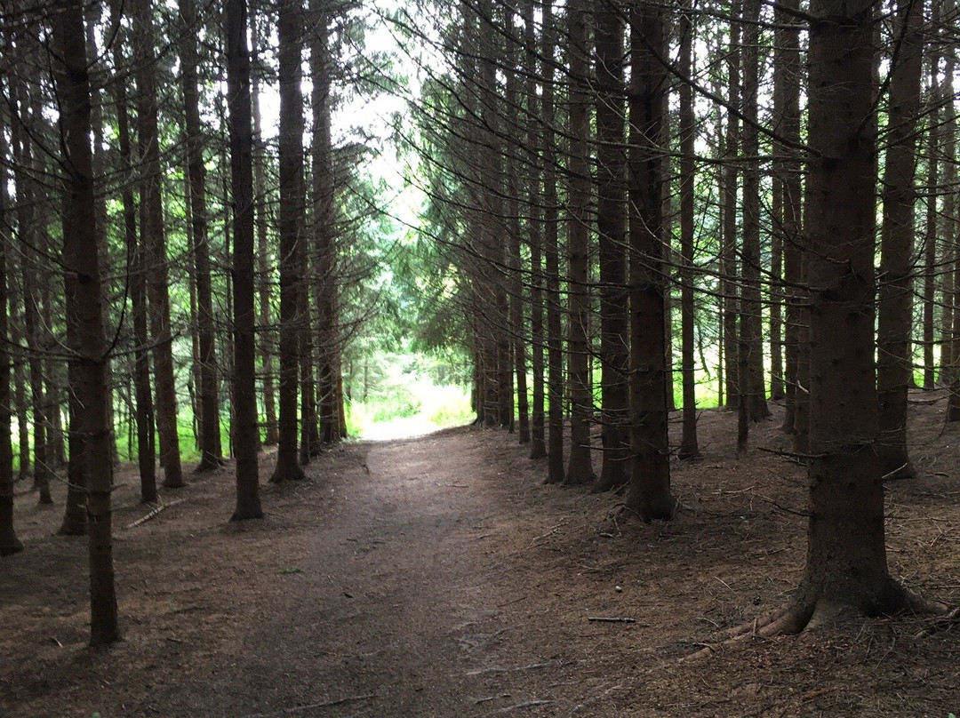 Sentiers Art-et-Nature-des-Appalaches-Saint-Ferdinand必去景点