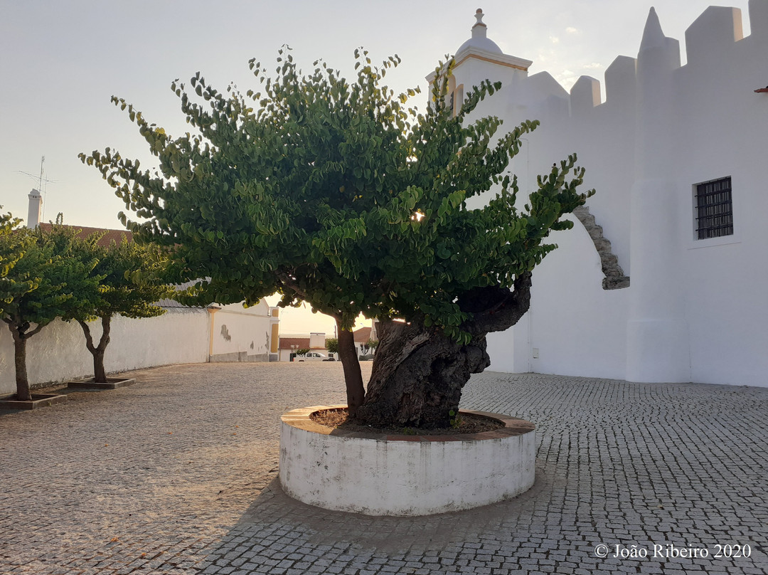 Igreja Matriz de São Paulo景点图片