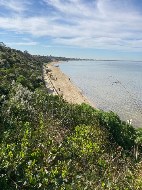 Mentone beach景点图片