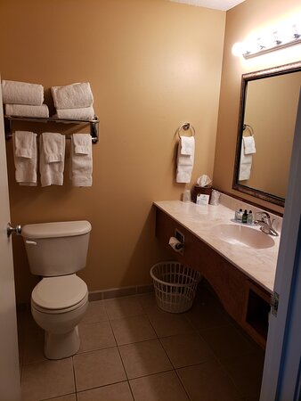 GrandStay Hotel & Suites La Crosse-浴室