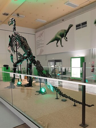 Museum of the Iguanodon景点图片