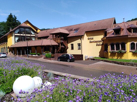 Hôtel Restaurant & SPA Julien-浴室
