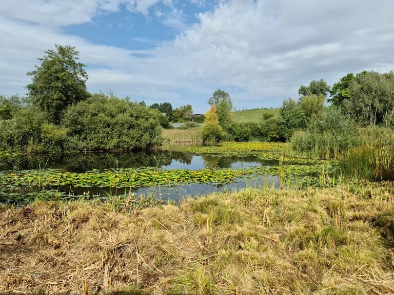 Marais De Poisy-macully景点图片