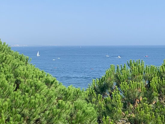 海湾大酒店-酒店景观