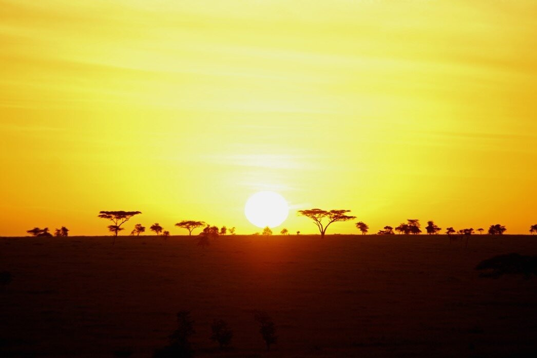 Majestic Nature Safari-阿鲁沙必去景点